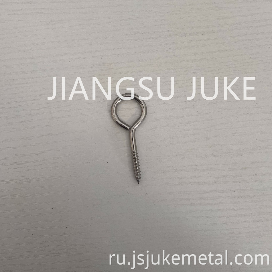 1 Stainless Steel Lag Eye Bolt Jpg